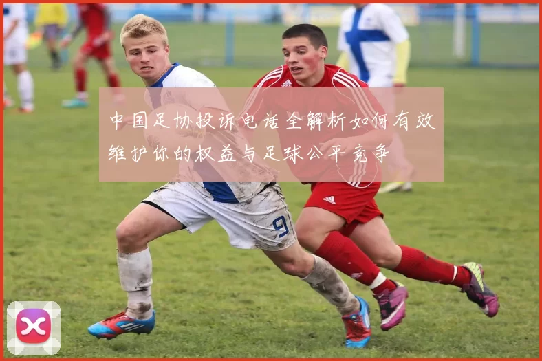 中国足协投诉电话全解析如何有效维护你的权益与足球公平竞争