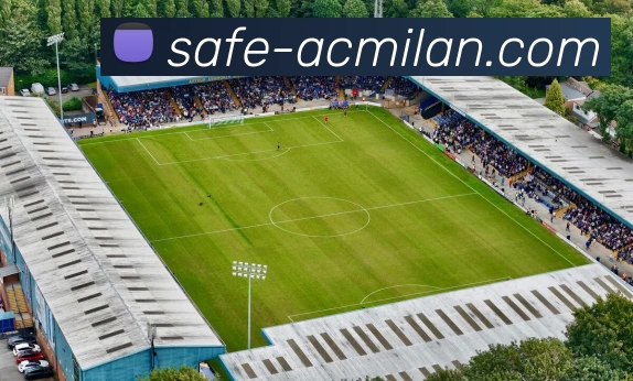 米兰体育官网平台生态图